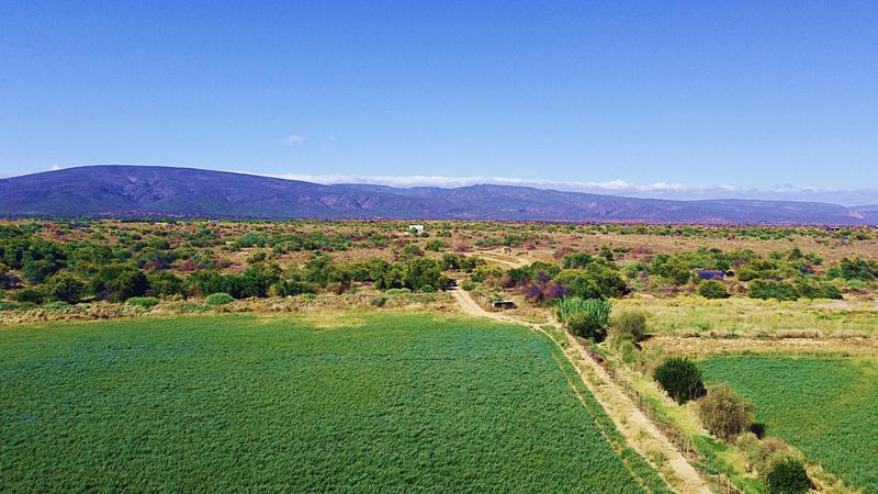 0 Bedroom Property for Sale in Calitzdorp Western Cape